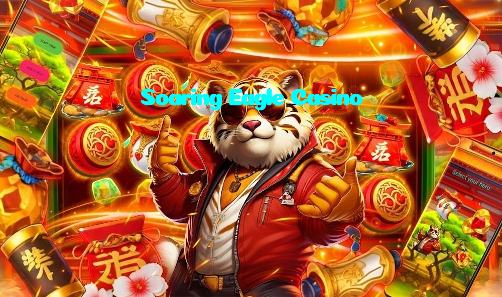 available types of Soaring Eagle Casino bet including pre-match live express and system bets