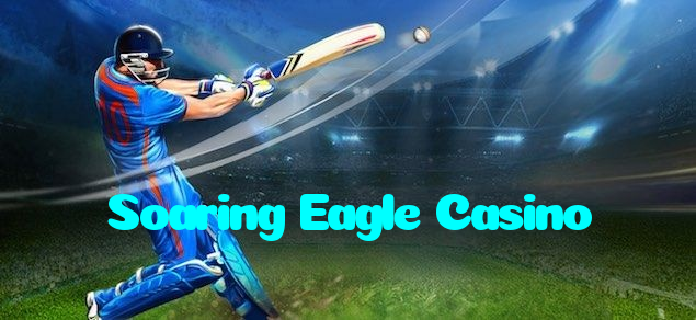 available types of Soaring Eagle Casino bet including pre-match live express and system bets