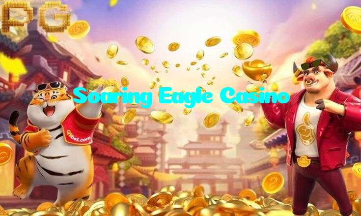available types of Soaring Eagle Casino bet including pre-match live express and system bets